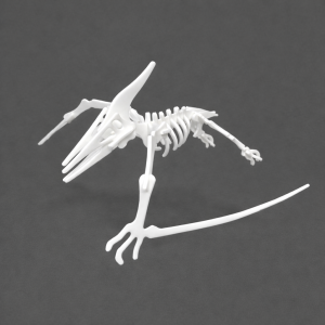 3d printed pterodactyl dinosaur skeleton puzzle